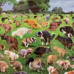 1000 piece POOPING PUPPIES puzzle!